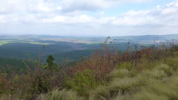 Increíble Paisaje Natural Con Vegetación Árboles —  Fotos de Stock