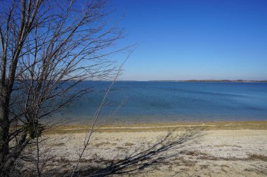 mavi gökyüzü ile nehir kıyısında büyüyen ağaç