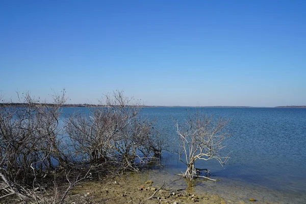 Buissons Poussant Sur Rivage Rivière Plein Soleil — Photo