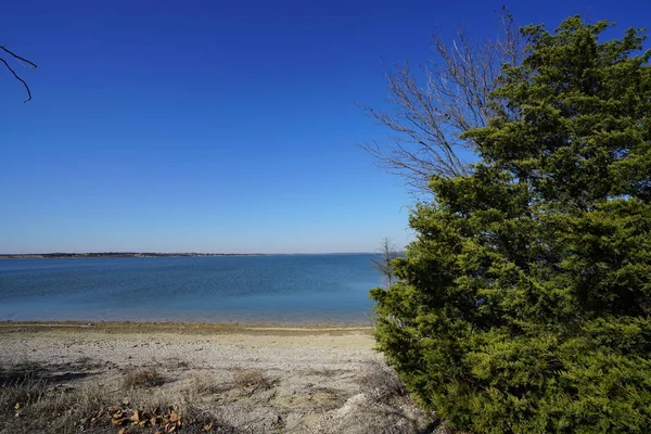 Песчаный Берег Пышным Зеленым Деревом Голубым Небом — стоковое фото