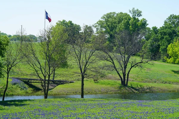 Мост Сельской Местности Texas Bluebonnet Полевые Цветы Полном Расцвете Течение — стоковое фото