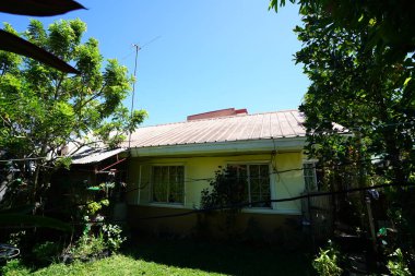 ev ve tropikal yeşillik ile kırsal sahne