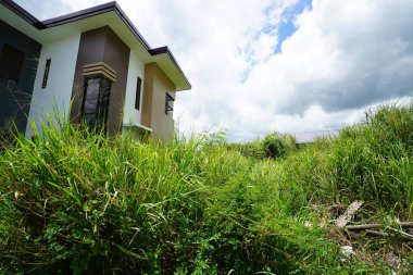 yemyeşil çalılar üzerinde bulutlu gökyüzü ve konut bina