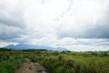 Yeşillik ve ağaçları ile şaşırtıcı doğa manzara