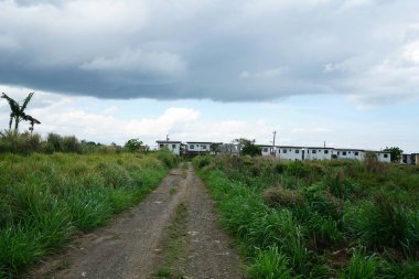 Yeşillik ve ağaçları ile şaşırtıcı doğa manzara