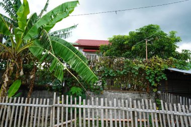 ev ve tropikal yeşillik ile kırsal sahne