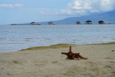 Muhteşem okyanus manzarası ile muhteşem gök