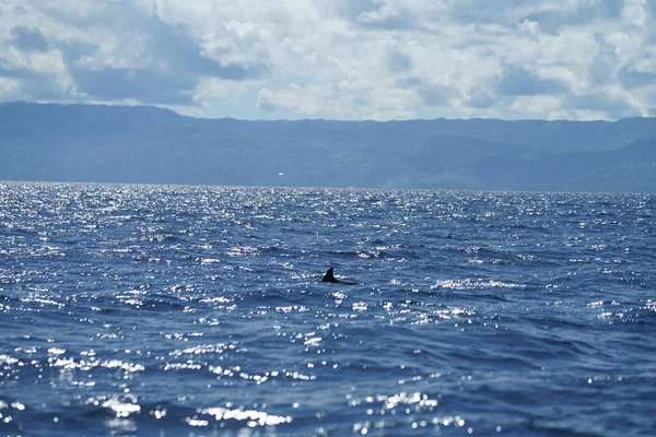 Félelmetes Óceánra Néző Kilátással Csodálatos Hegyek — Stock Fotó