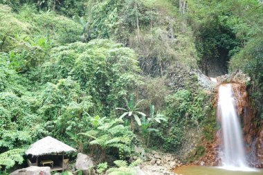 Sıçramasına şelale muhteşem doğa manzaralı