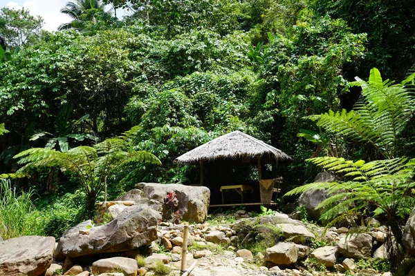 Вид Бунгало Пышной Тропической Зелени — стоковое фото