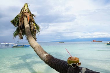 deniz manzara hindistan cevizi içecek ve kalp bardakları ile palmiye