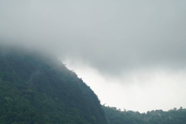 Yeşillik ve ağaçları ile şaşırtıcı doğa manzara