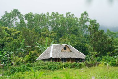 yeşillikler içinde eski otantik kulübe