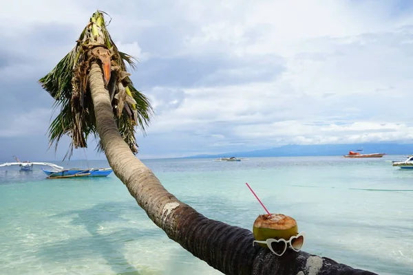 deniz manzara hindistan cevizi içecek ve kalp bardakları ile palmiye