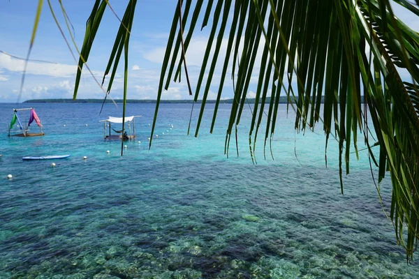 Foglie Palma Mare Con Barche Sullo Sfondo — Foto Stock