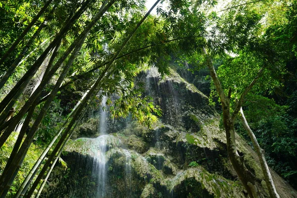 picturesque view of mossy green waterfall