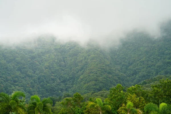 Increíble Paisaje Natural Con Vegetación Árboles —  Fotos de Stock