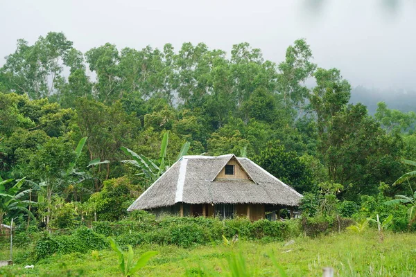 yeşillikler içinde eski otantik kulübe