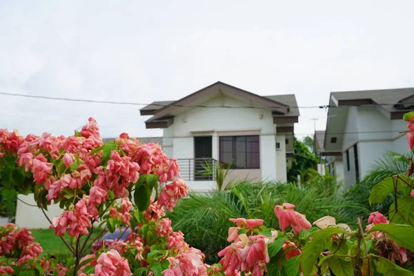 Κατοικημένη Σπίτι Ιδωμένη Μέσα Από Ροζ Λουλούδια — Φωτογραφία Αρχείου