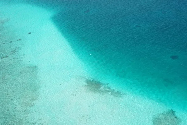 Невероятный Вид Глубину Океана Удивительной Природой Лицензионные Стоковые Фото