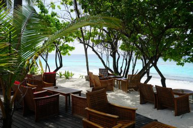 yeşillik plajda açık kafe sandalye ve masaları