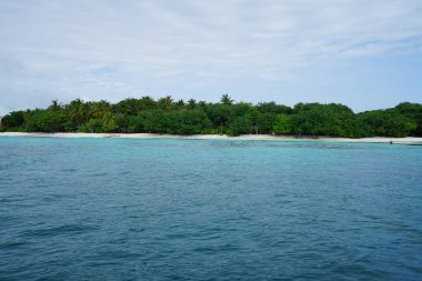 deniz üzerinde sahilde yemyeşil uzak görünümü