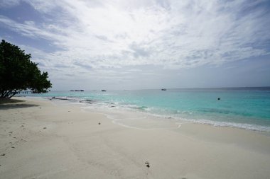 kumlu plaj bulutlu gökyüzü doğal görünümünü