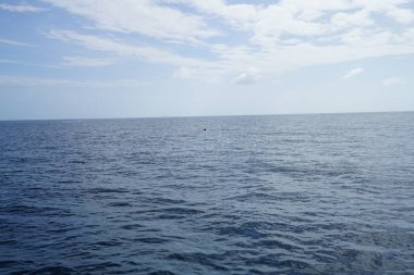 deniz horizon ve bulutlu gökyüzü ile doğal görünümü