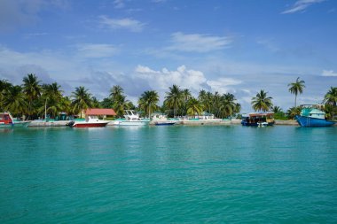 parlak güneş ışığı altında avuç içi ile mavi su üzerinde demirli tekneler