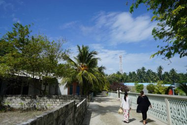 yeşil palmiye ağaçları ile çevrili sokakta yürüyen iki kadın 