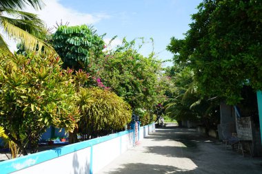 tropikal yeşillik ve mavi gökyüzü ile sokak sahnesi