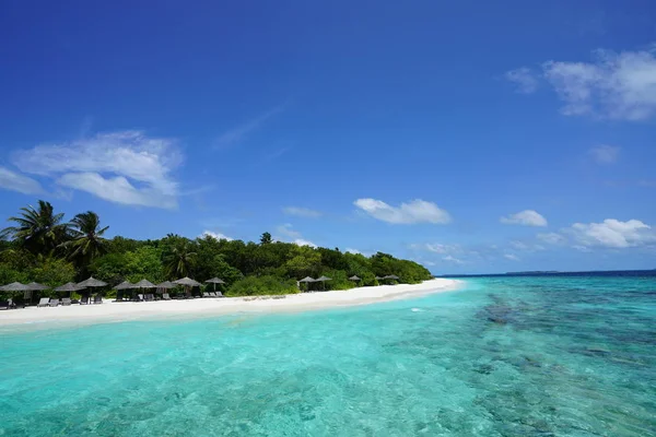 Vista Praia Arenosa Com Guarda Chuvas Palmeiras Sobre Água Limpa — Fotografia de Stock