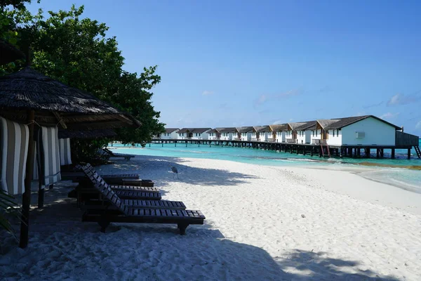 Capanne Bianche Tradizionali Sulle Maldive Sul Mare — Foto Stock