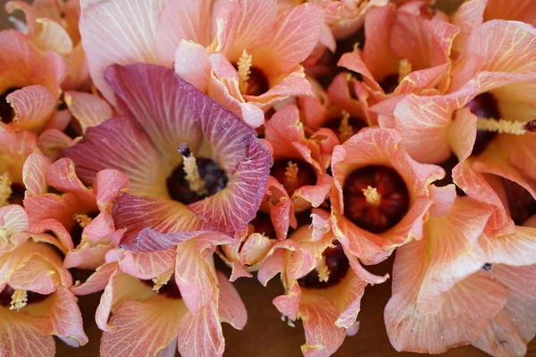 close up shot of peach colored flowers bouquet