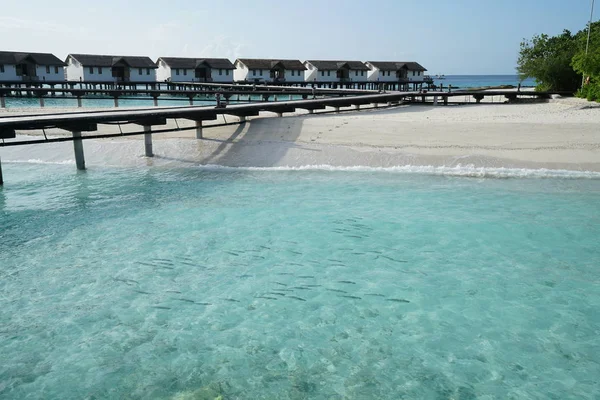 Tradycyjne Białe Chaty Malediwy Nad Morze — Zdjęcie stockowe