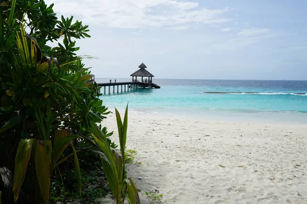 Vista Pitoresca Cabana Bungalow Mar Visto Através Folhagem Verde — Fotografia de Stock