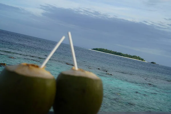 Deux Noix Coco Avec Pailles Vue Sur Mer Arrière Plan — Photo