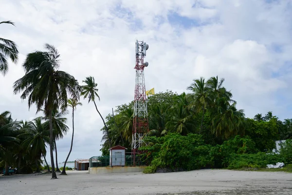 Menara Listrik Dengan Tanaman Tropis Pantai — Stok Foto