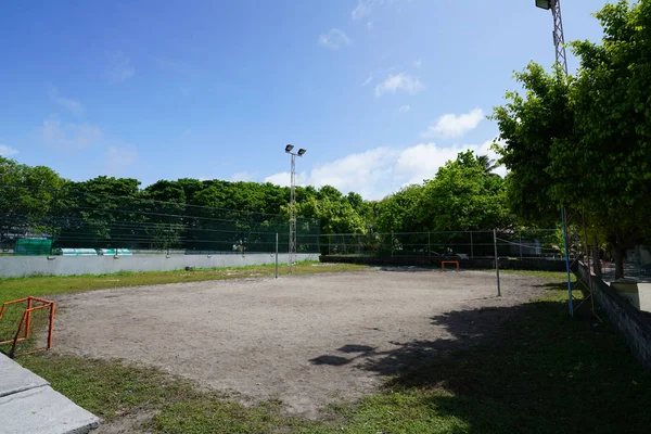 Campo Fútbol Iluminado Por Sol Con Árboles Verdes Cielo Azul — Foto de Stock