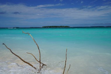 Maldivler sopalarla bir adada okyanus manzarası