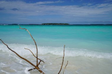 Maldivler sopalarla bir adada okyanus manzarası