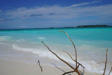Maldivler sopalarla bir adada okyanus manzarası