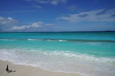 Bir adada Maldivler okyanus manzarası