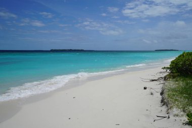 Bir adada Maldivler okyanus manzarası
