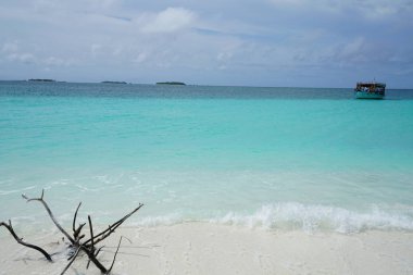 Bir adada Maldivler okyanus manzarası