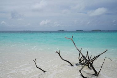 Bir adada Maldivler okyanus manzarası