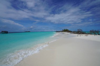 Bir adada Maldivler okyanus manzarası