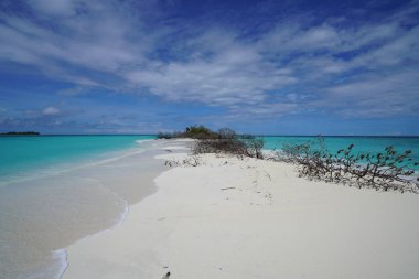 Bir adada Maldivler okyanus manzarası