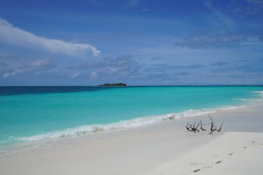 Bir adada Maldivler okyanus manzarası