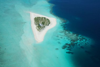 Maldivler bir deniz uçağı--dan güzel havadan görünümü 